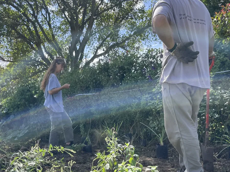 Equipo Amor Nativo plantando plantas nativas Buenos Aires biodiversidad urbana