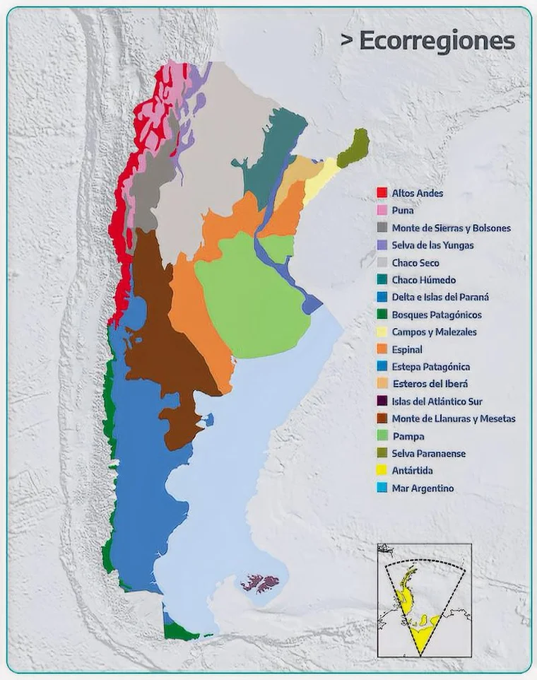 Mapa de las ecorregiones de Argentina distribución de flora nativa