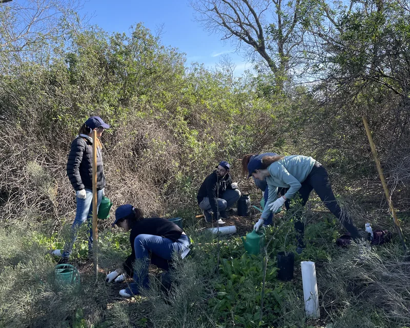 Plantación colectiva equipo empresas especies nativas team building