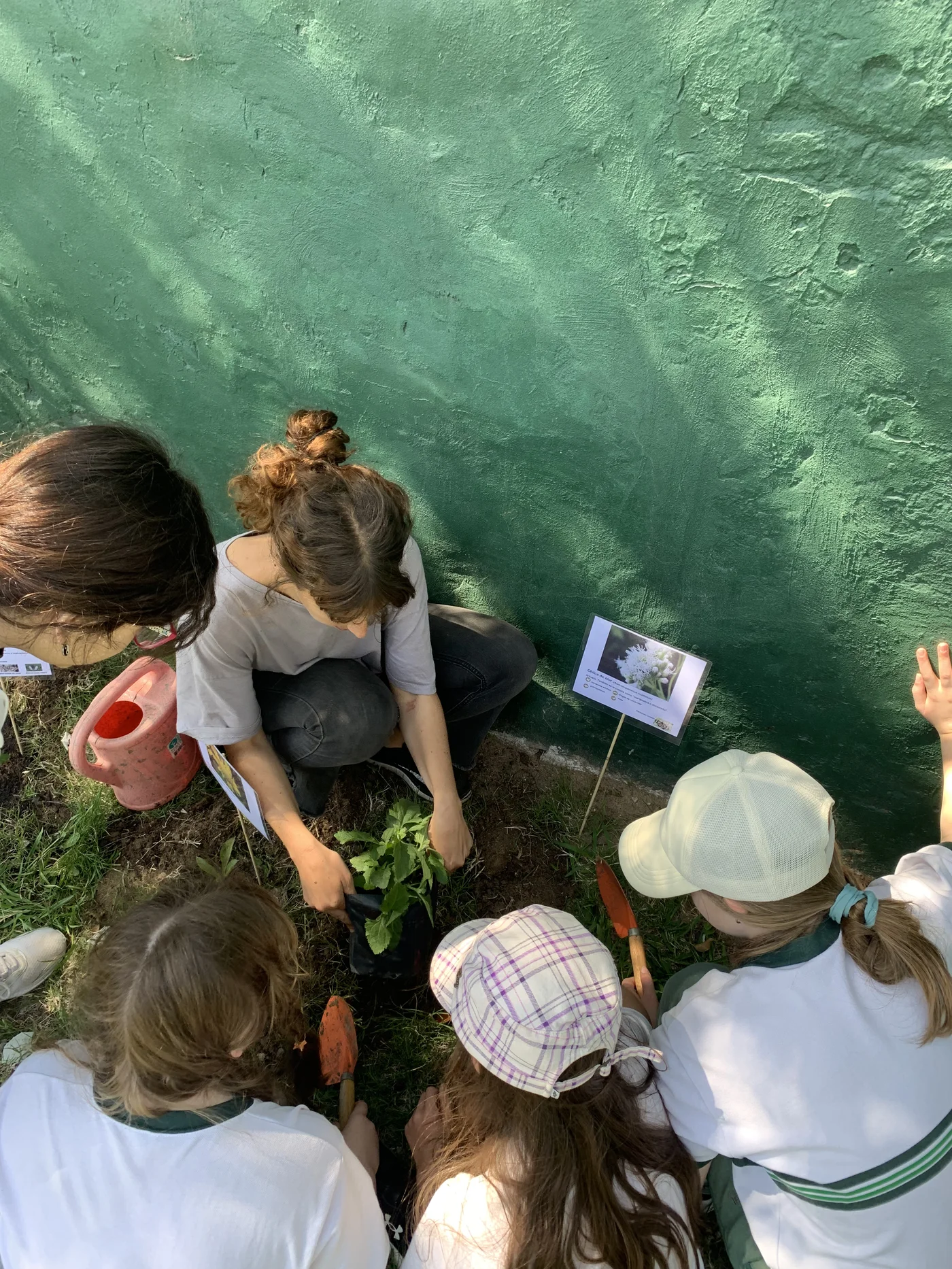 Taller educativo plantas nativas escuelas colegios Amor Nativo