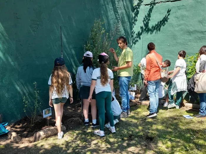 Taller polinizadores jardín mariposas plantas nativas colegio primario secundario