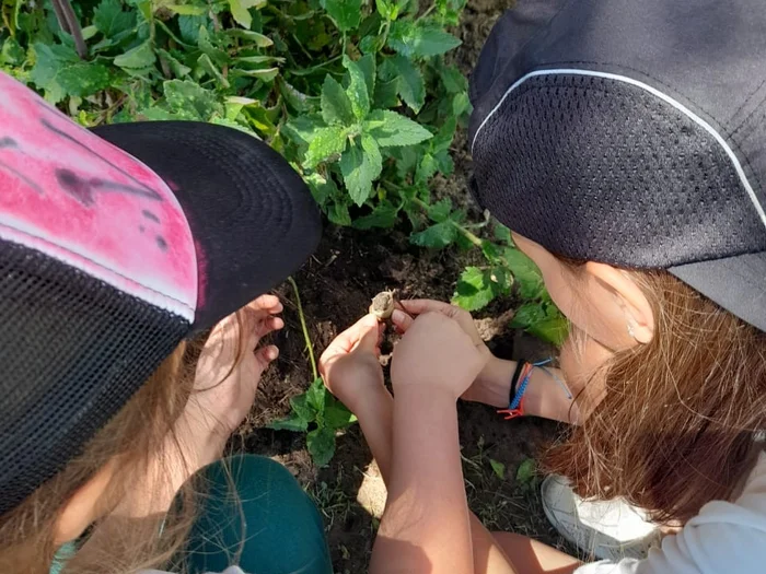 Taller biodiversidad siembra plantas nativas primario colegio Buenos Aires
