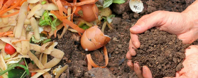 Taller economía circular compost residuos orgánicos empresas ESG